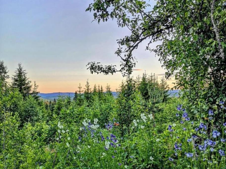 Forest Cabin With Stunning Mountain View & Sauna Torsby Buitenkant foto