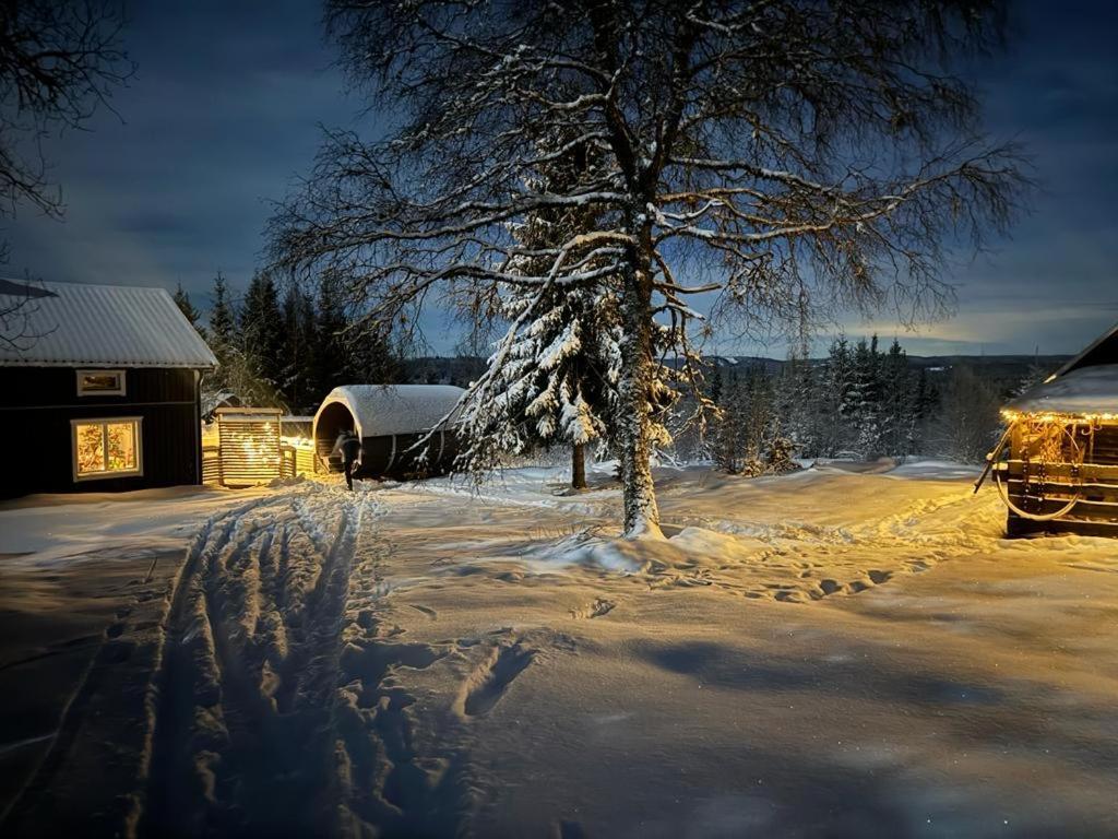 Forest Cabin With Stunning Mountain View & Sauna Torsby Buitenkant foto