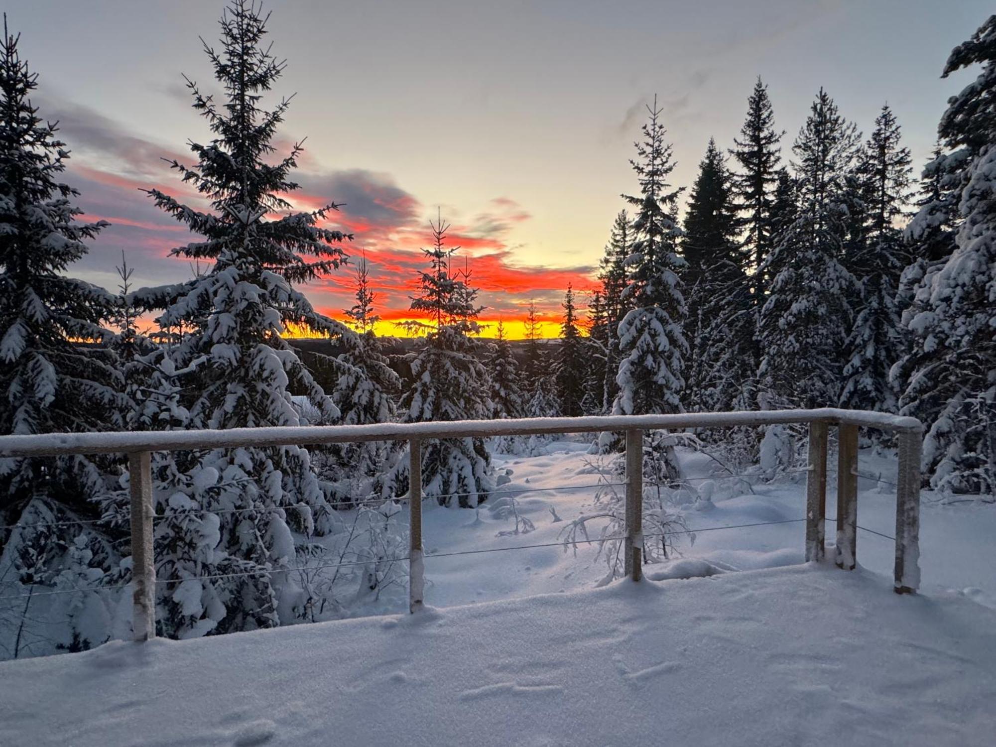 Forest Cabin With Stunning Mountain View & Sauna Torsby Buitenkant foto